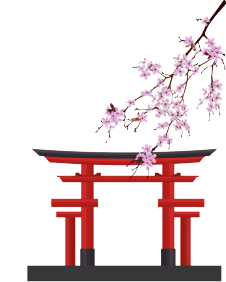 Course illustration